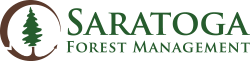 Saratoga Forest Management