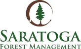 Saratoga Forest Management